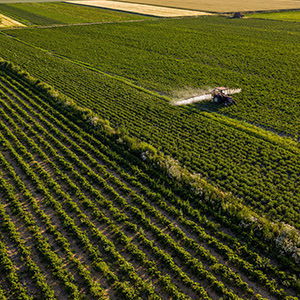 農(nóng)業(yè)大棚溫濕度監(jiān)控系統(tǒng)的升級(jí)方案有幾種呢？